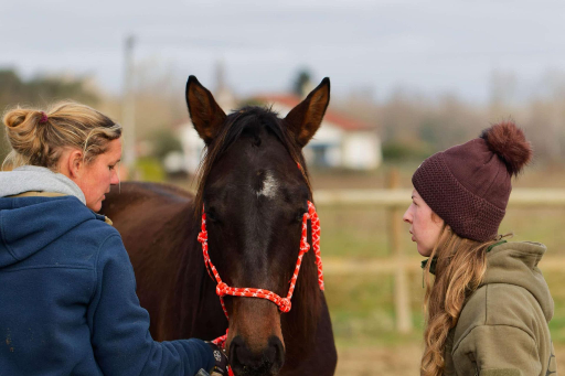 cavalière réalisant des objectifs avec un cheval 