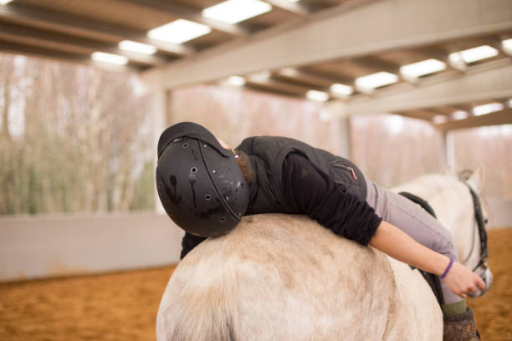 enfant sur un cheval equithérapie